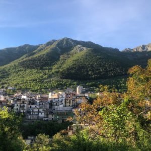 161b23ad-d9d1-47a0-b1f5-df3b70196943