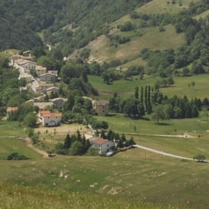 Collattoni-scaled