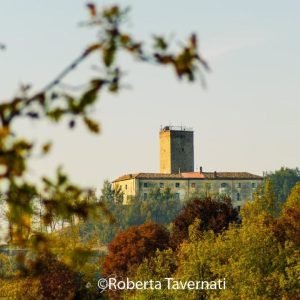 FORTUNAGO-castello-di-stefanago