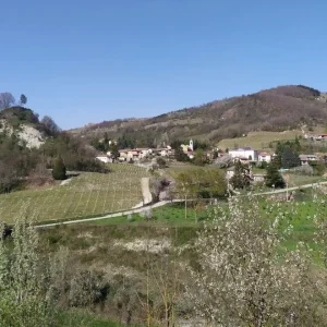 Sessame-jpg