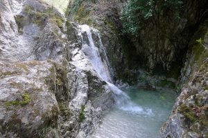 castelluccio-bosco
