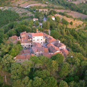 corsalone-jo