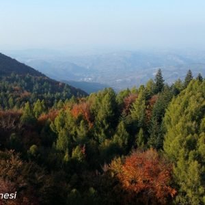 visitromagnese.it_images_abd276468960c5760364ea04b541511